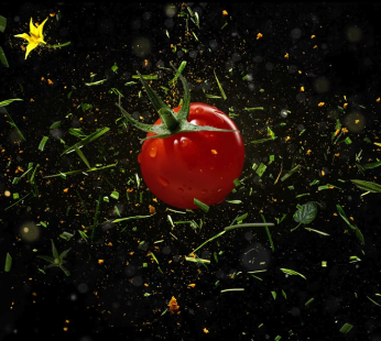 Honigtomaten