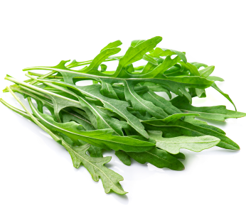 Rucola Bund