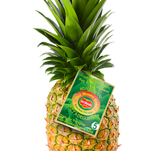 Flug Ananas