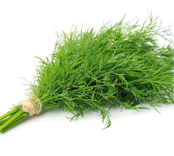 Dill Bund