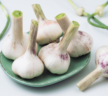 Frischer Knoblauch