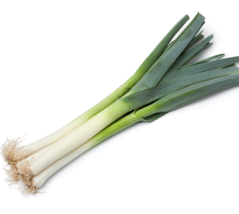 Lauch