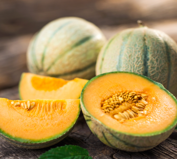 Charantais Melone