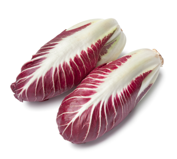 Radicchio Trevisano