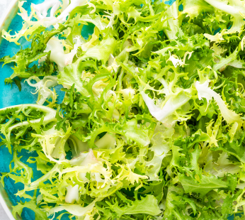 Frisee Salat pro Stück