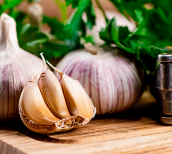 Knoblauch getrocknet intensiv