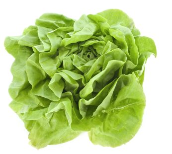 Kopfsalat pro Stück