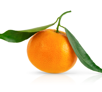 Blatt Clementinen