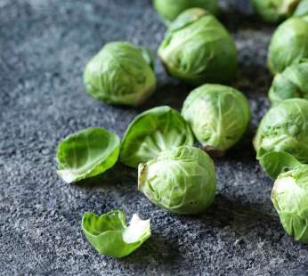Rosenkohl