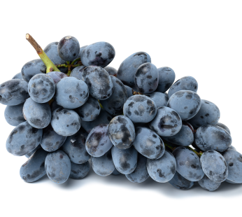 Blaue Trauben