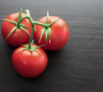 Harvest Strauchtomaten