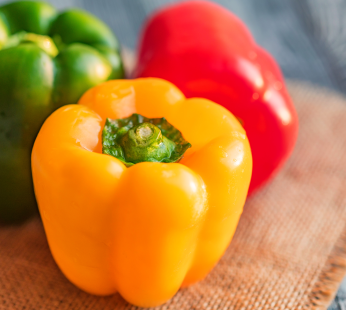 Bio Paprika (gelb oder rot) pro Stück