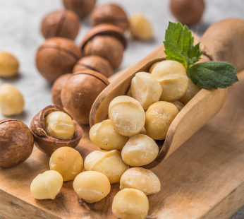 Macadamia Nüsse