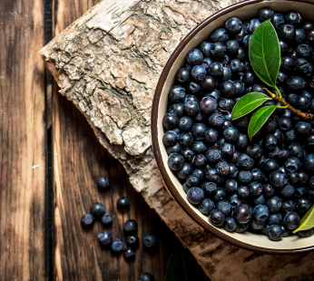 Wilde regionale Moosbeeren