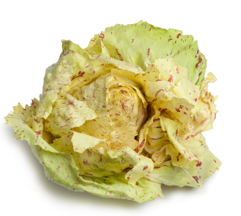 Castel Franco Salat