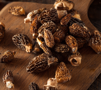 getrocknete Spitzmorcheln (Herkunft Türkei)