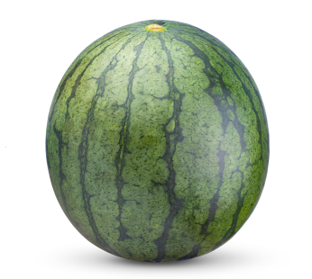 Wassermelone